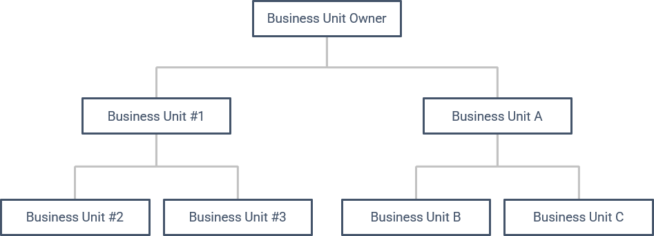 Business Units structure